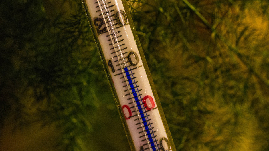 Zacht met 11 graden om 02.00 uur vannacht in het Rivierengebied 