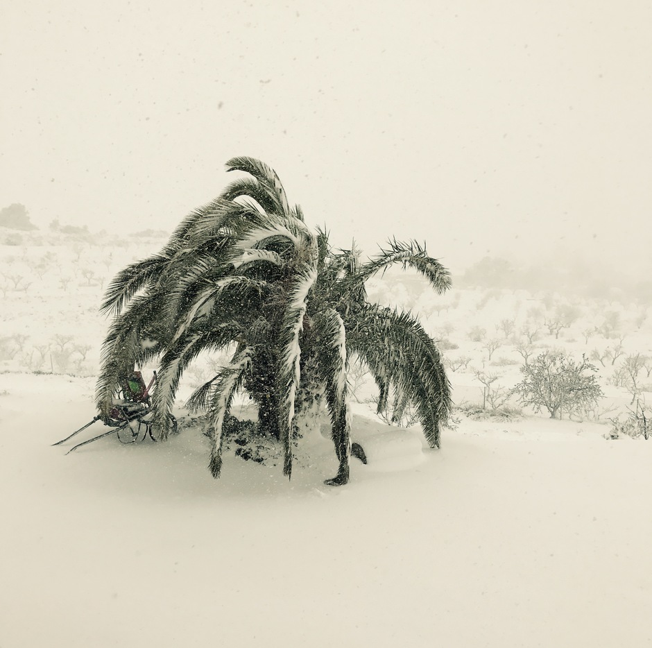 Sneeuw in Alicante