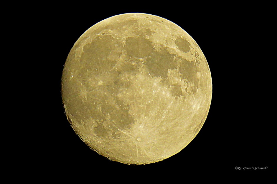Close-up van la luna in vol ornaat