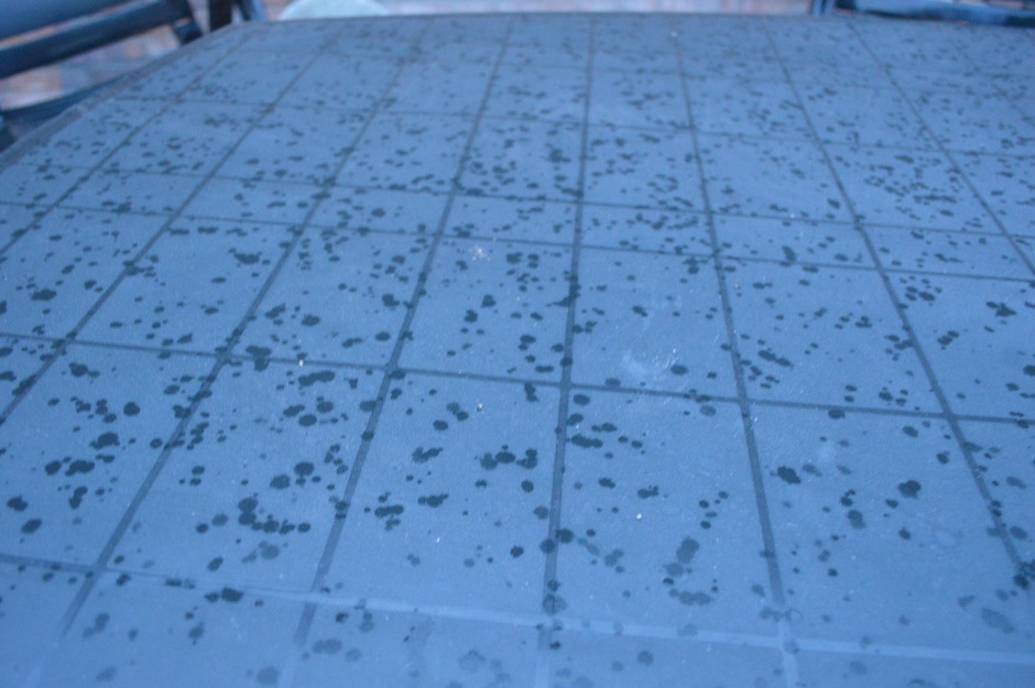 Gisterenavond enkele regendruppels op de tuintafel gevallen, niet meer als enkele druppels op een gloeiende plaat