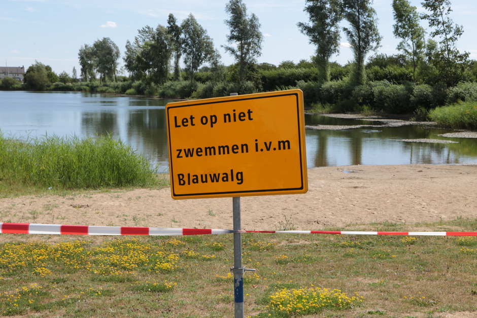 Steeds meer zwem-verboden door "blauwalg", zoals hier bij de Kalenbergse plas in Meteren