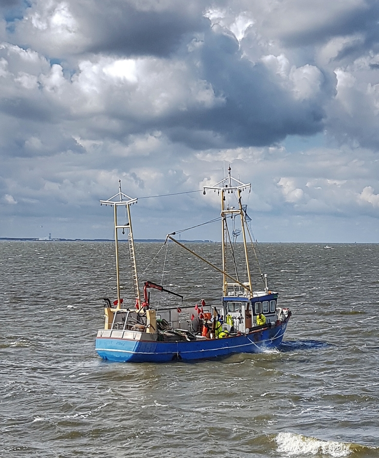 IJsselmeervisserij