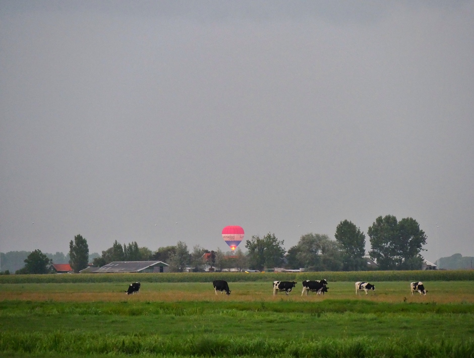 Luchtballon in de polder