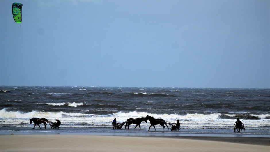 Trainen v/d Ren Paarden Strand Wijk aan Zee