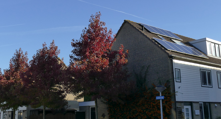 Op de IJsbaan kleur het blad van de Acer, zonnepanelen Leiden