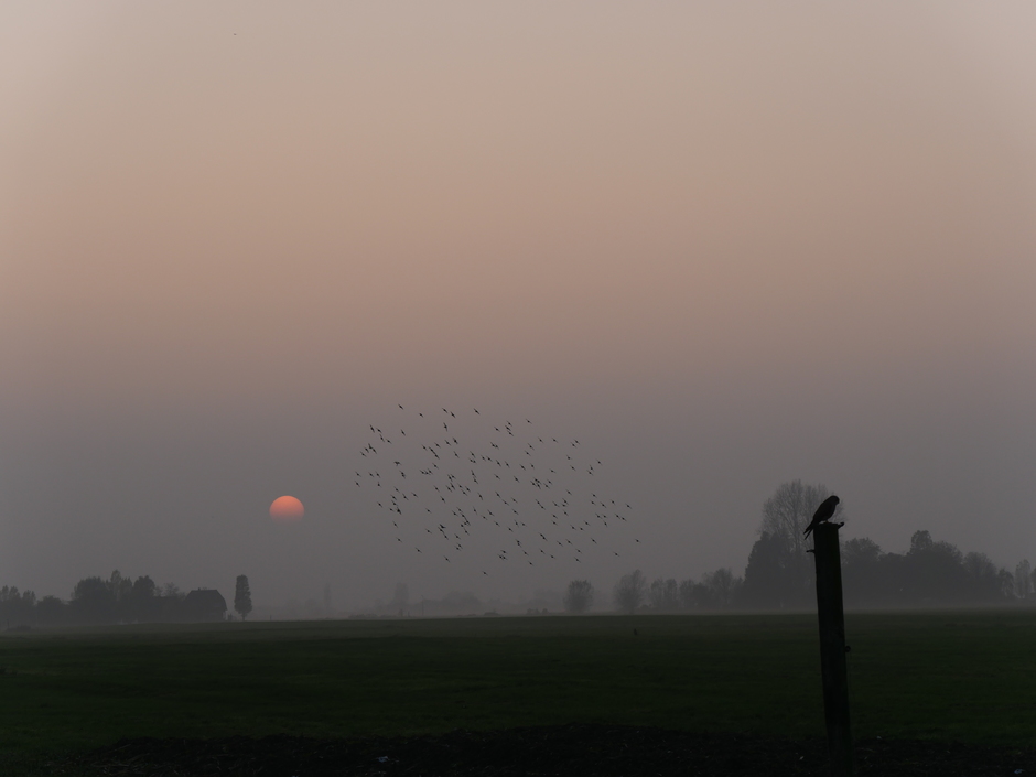 Zonsondergang in Reeuwijk