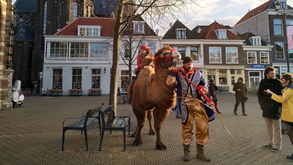 Met de kameel op stap