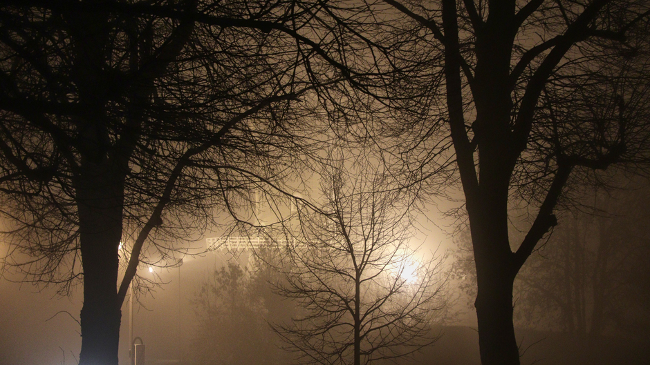 Molen in de mist