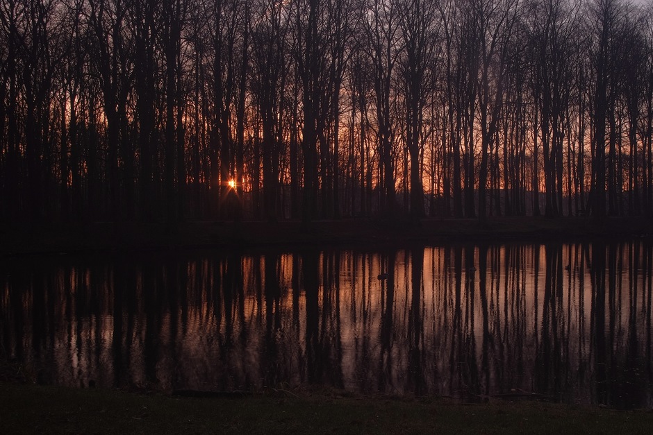 Zonsopgang Haagse Hout