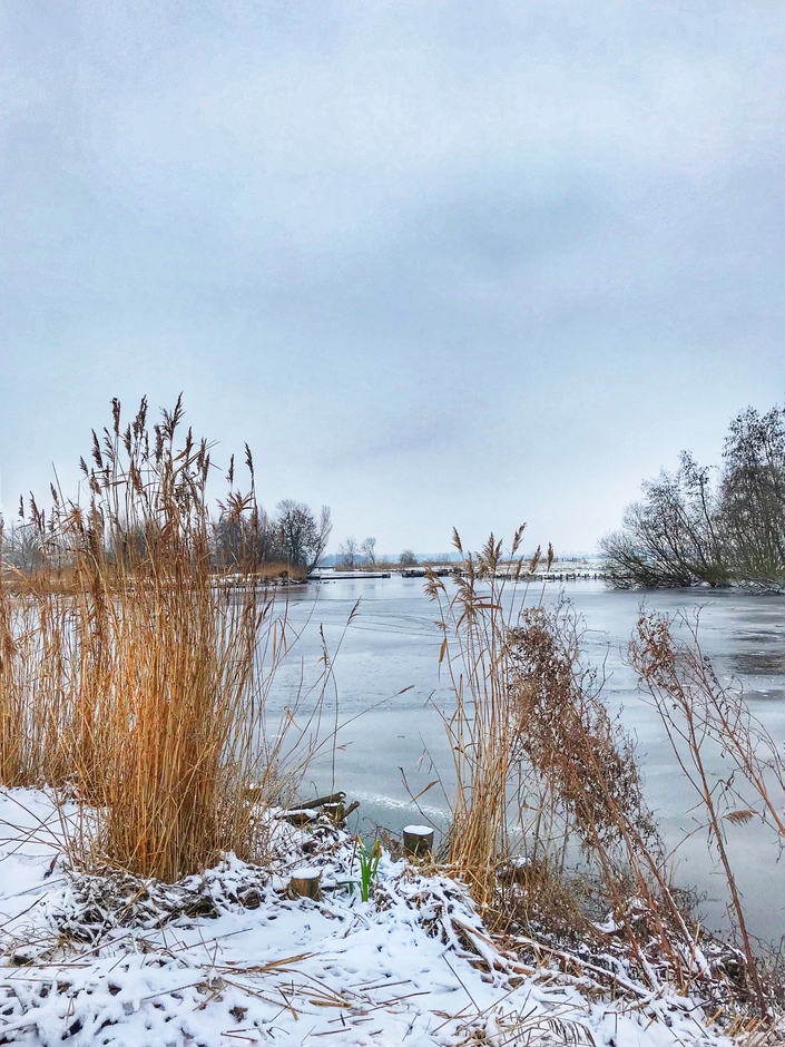 Winter in de polder van Wilnis
