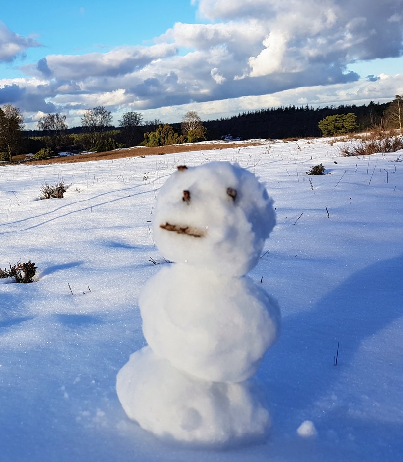 Sneeuwpopje Loenermark.