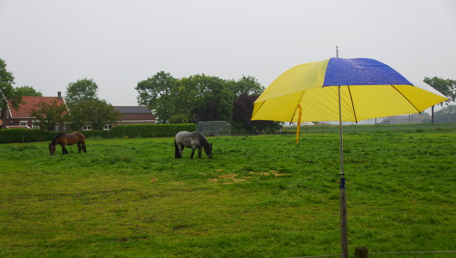 grijs en regenachtig paraplu weer