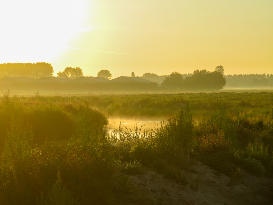 Dauw en zonsopkomst in de polder 