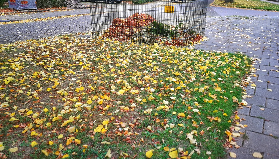 Veel bladval vandaag de korven staan alweer.