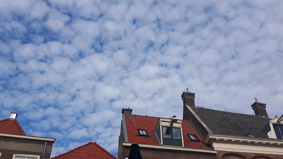 Schapenwolken boven Zutphen 