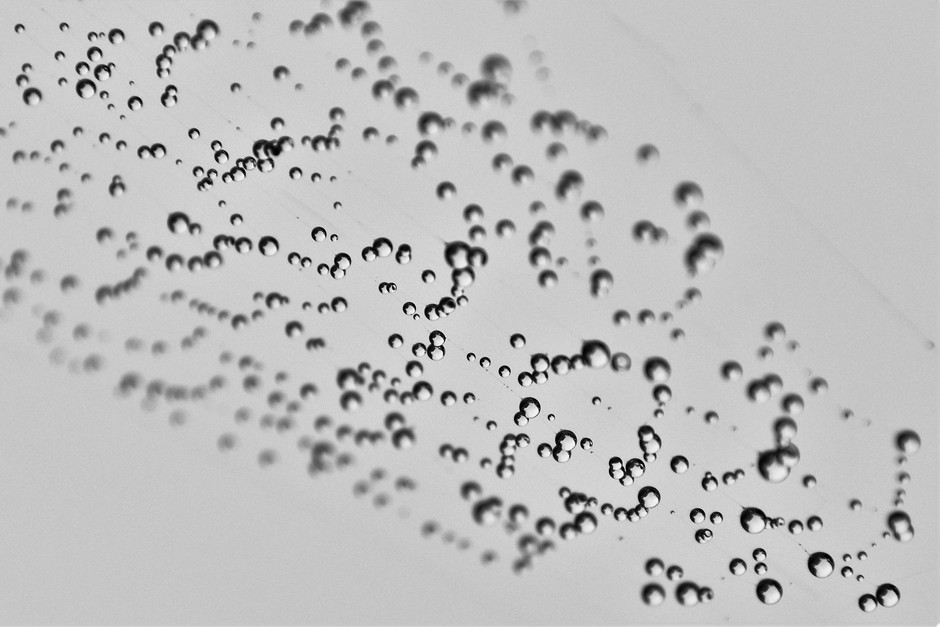 Spinneweb met  regendruppels