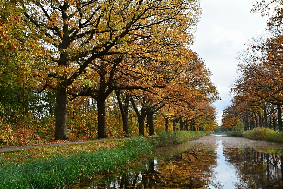 Herfstkleuren langs het Apeldoorns kanaal.