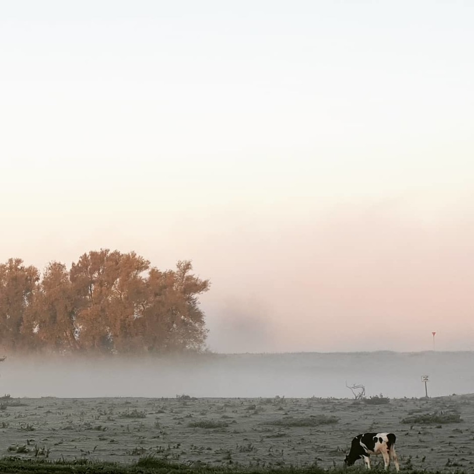 Arnhem in de mist