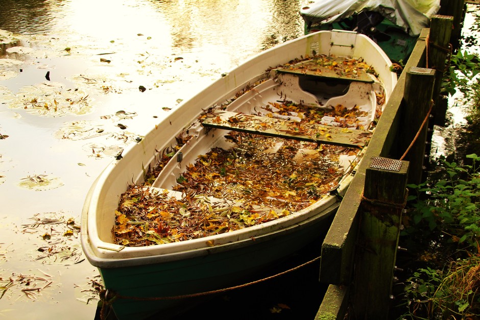 Boot met herfstbladeren