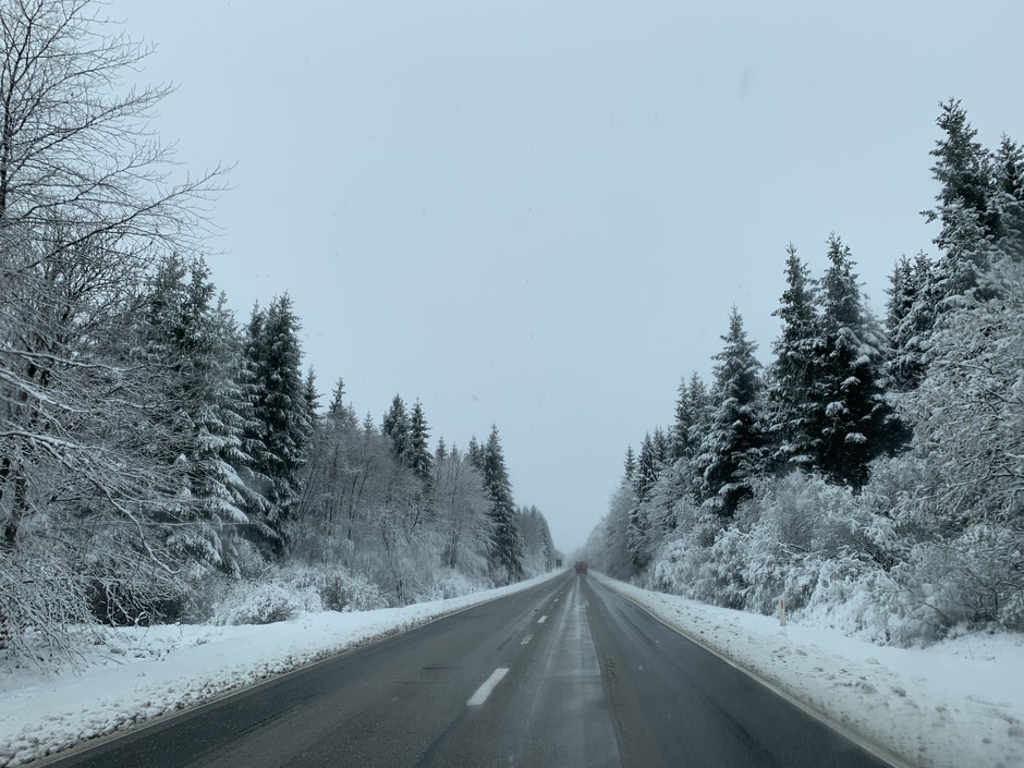Sneeuw in de Ardennen 
