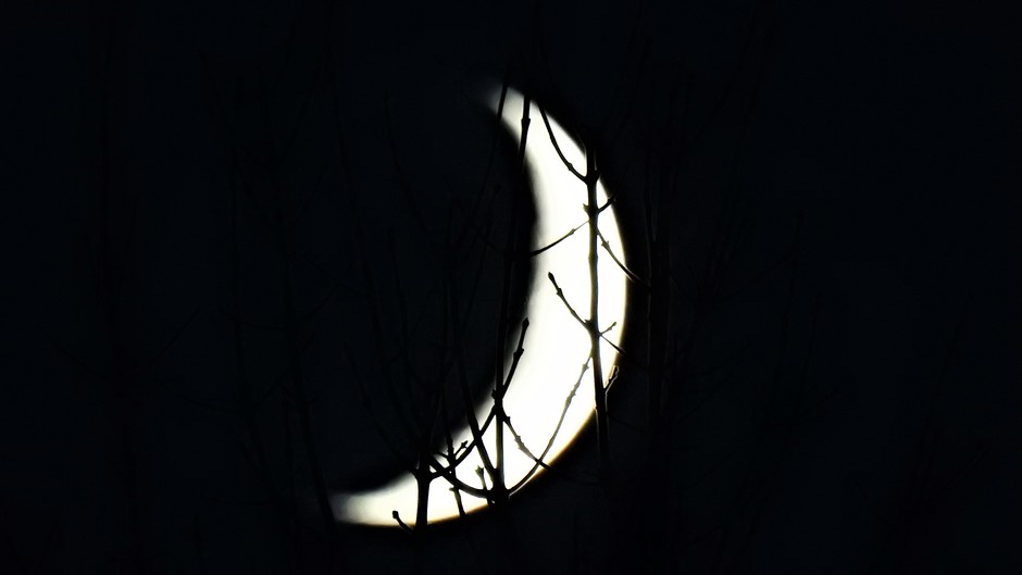 Zie de maan schijnt door de bomen.....