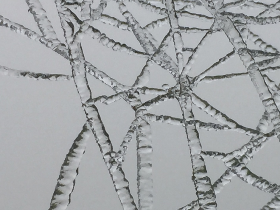 Bevroren waterdruppels van de mist op een spinnenweb
