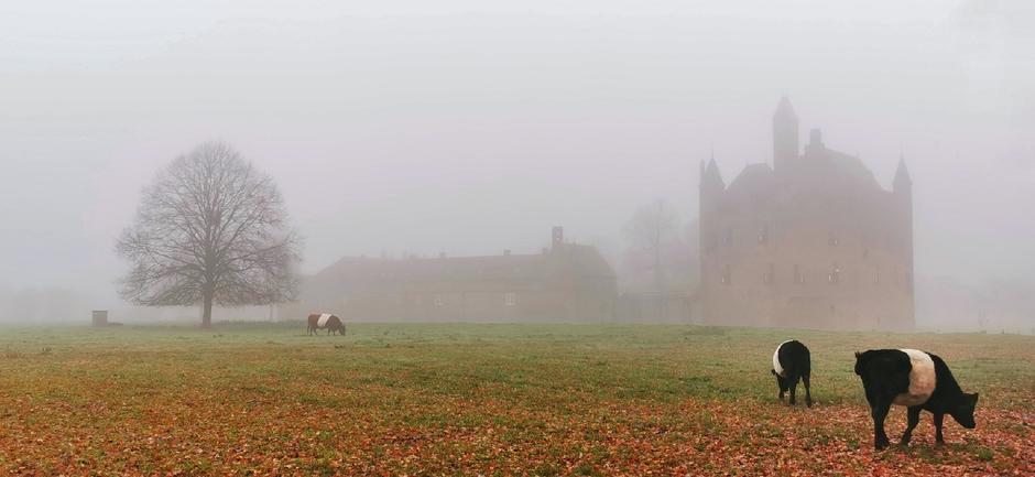 Grijs en mist vandaag in Doornenburg
