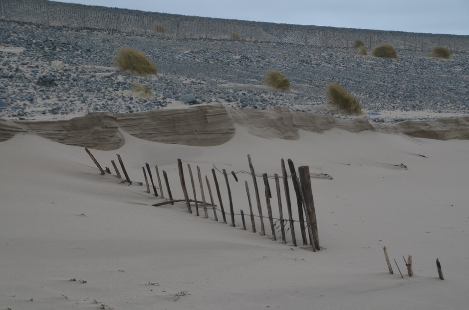 veel zand weggeslagen op 2e Maasvlakte 