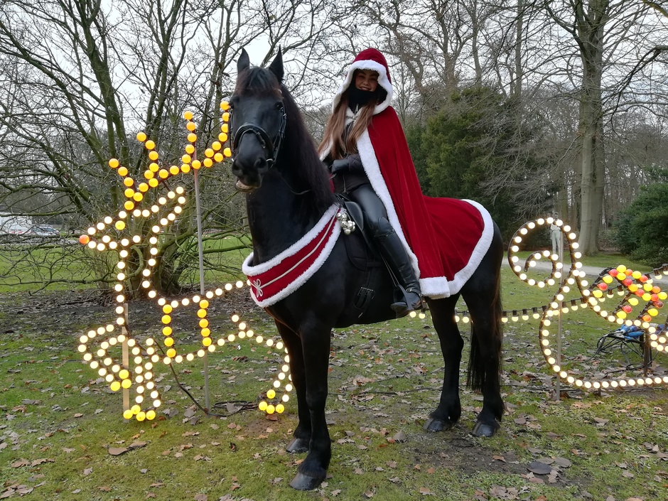 Prachtig weer voor Kerstfair in Doorn | statige Friese paarden