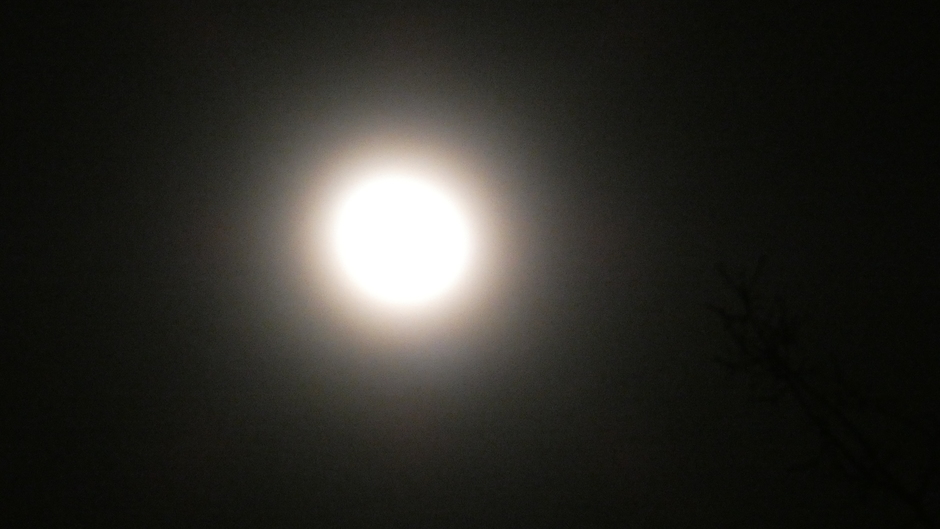 Afgelopen nacht was er een corona rond de maan zichtbaar