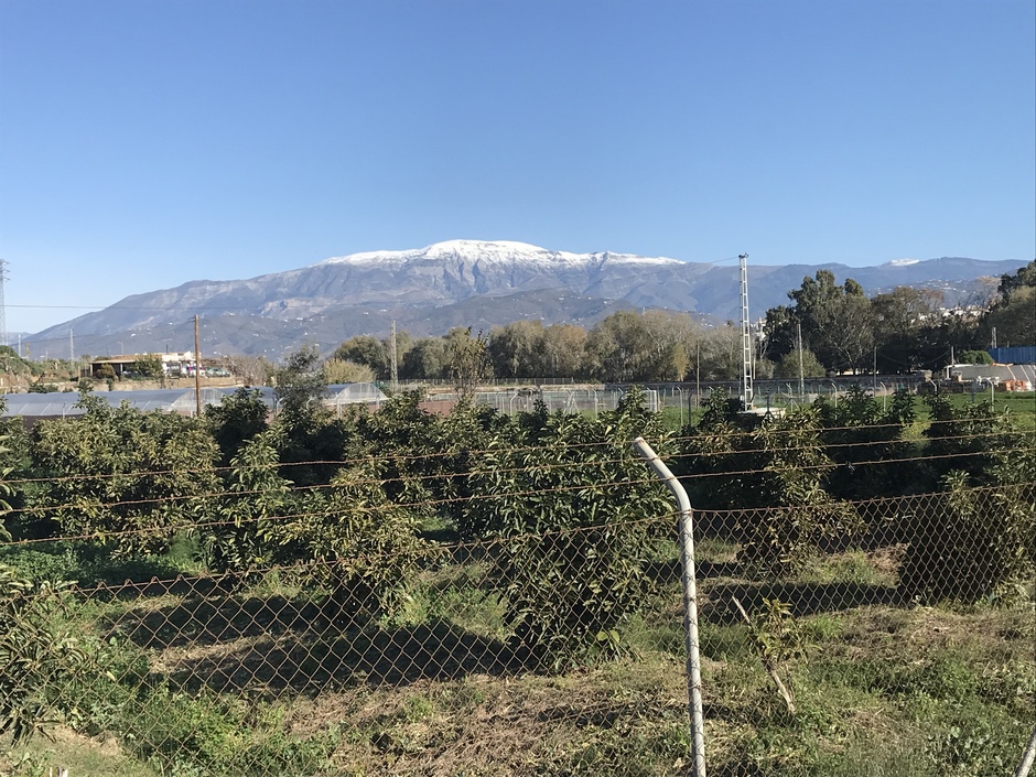 Sneeuw in AndalusiÃ« 