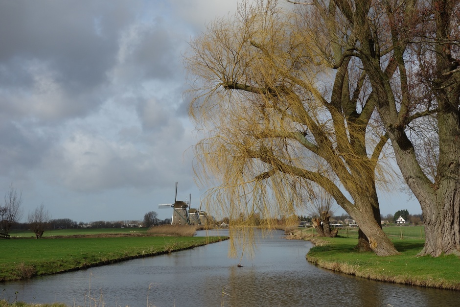 Zon en wolken in Stompwijk