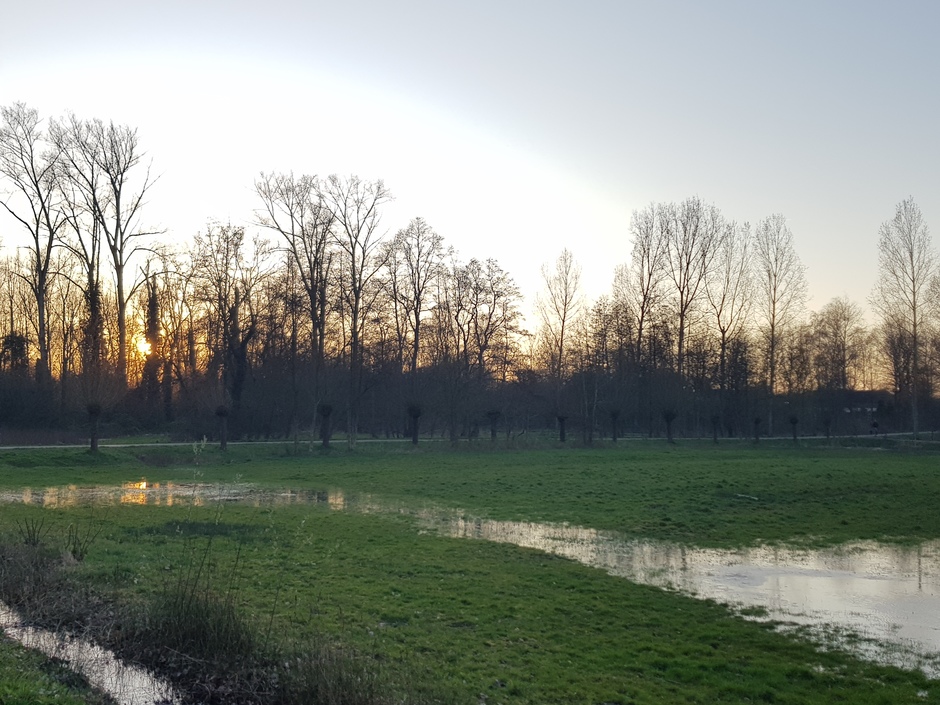 'Wetlands' Eindhoven
