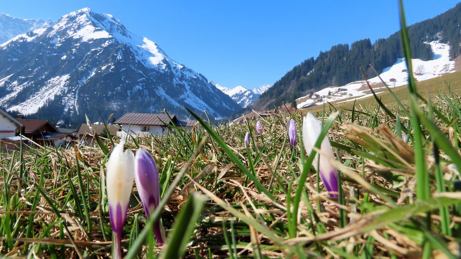 Alpen: Nrd Alpen vrij zonnig