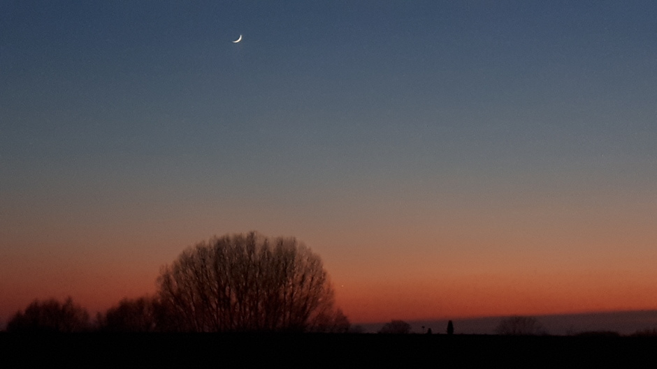 zonsondergang met maan