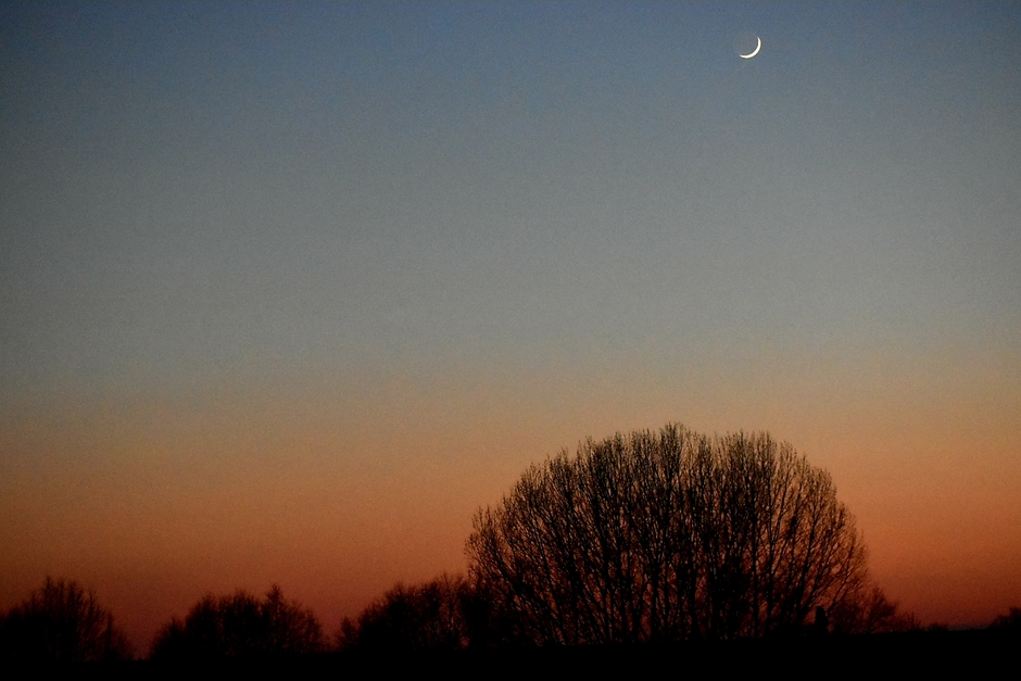 zonsondergang met maan