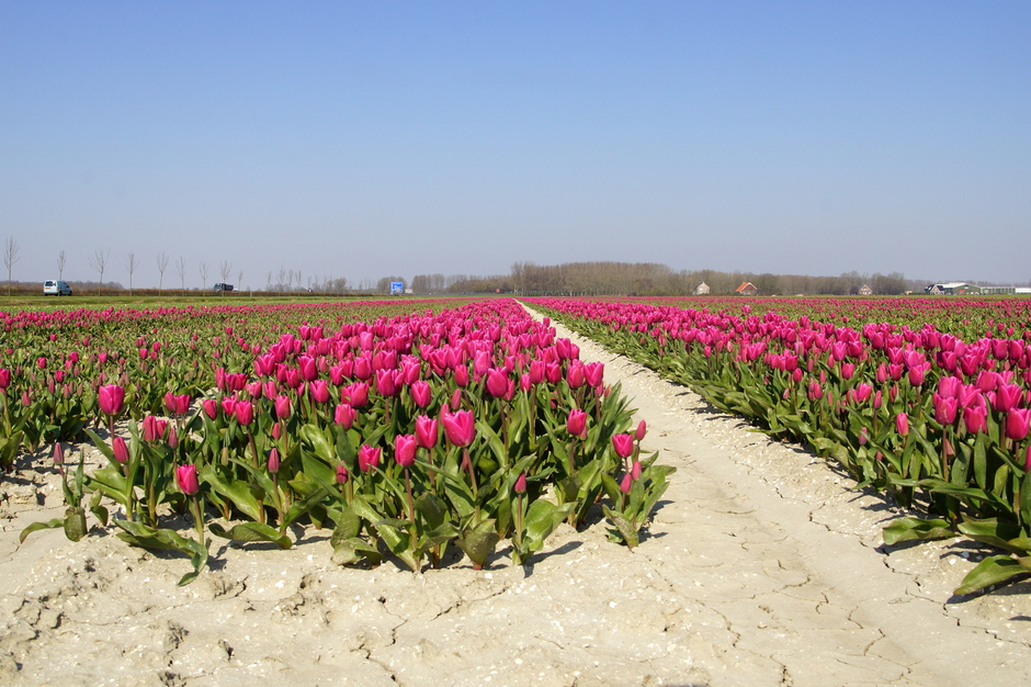 zonnig en droge grond in Middenmeer NH