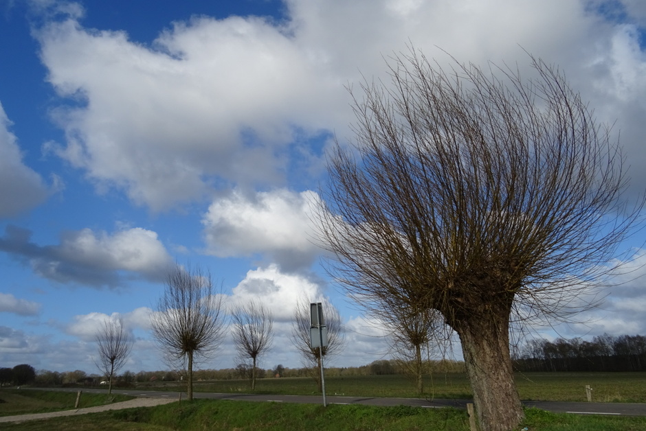 Stapelwolken en wind vanmorgen in Stiphout. 