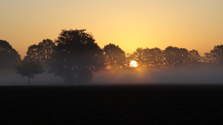 Een mooie zonsopkomst vanochtend met mist
