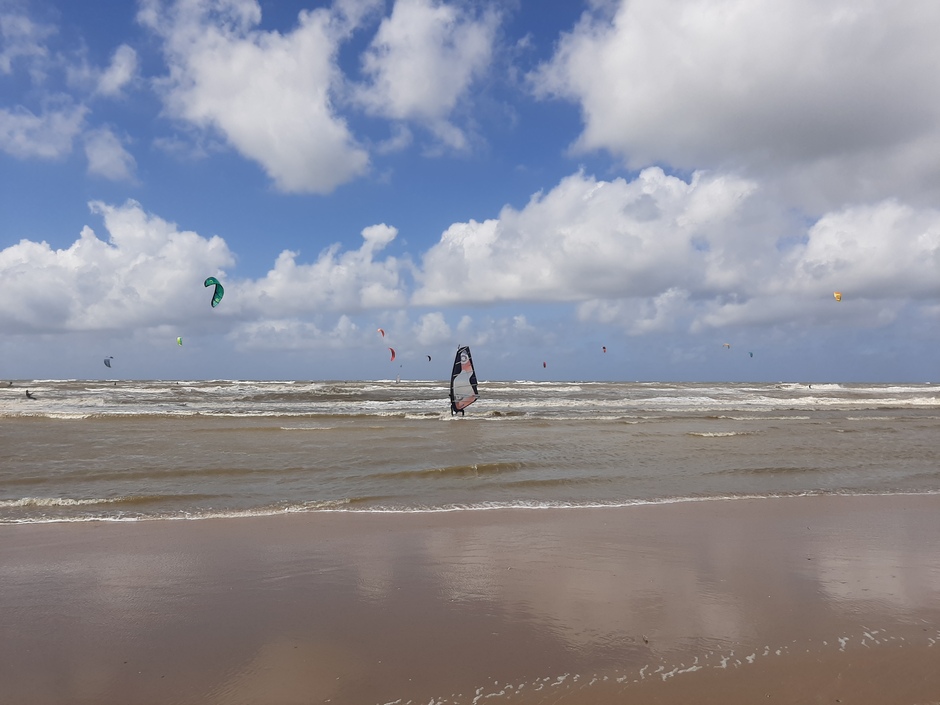 Veel kitesurfers aan de kust