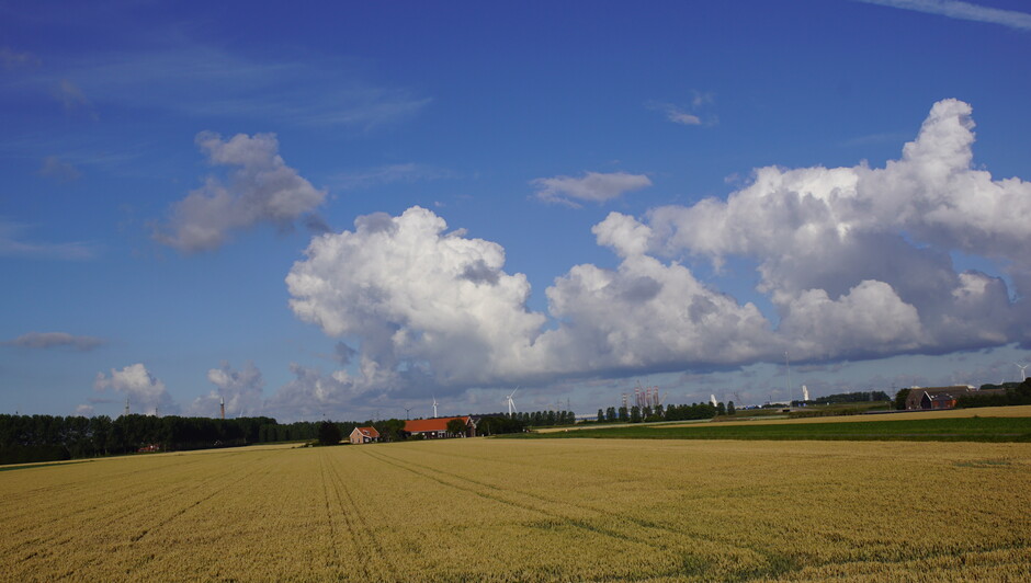 08.30 uur zonnig blauwe lucht stapelwolken 14 gr