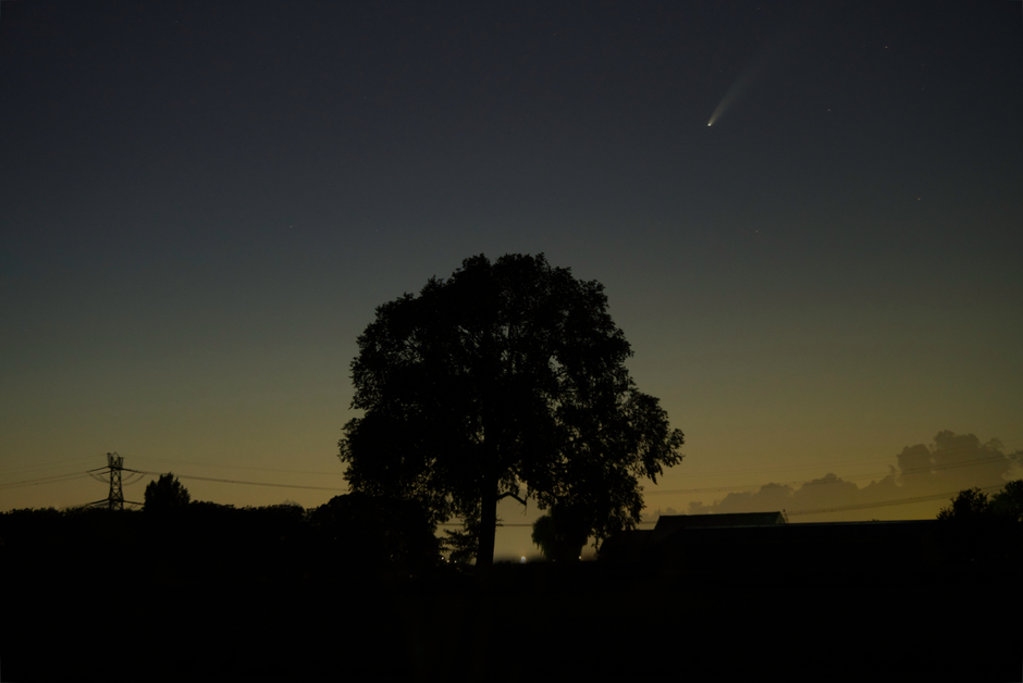 Komeet neowise bij een boom.