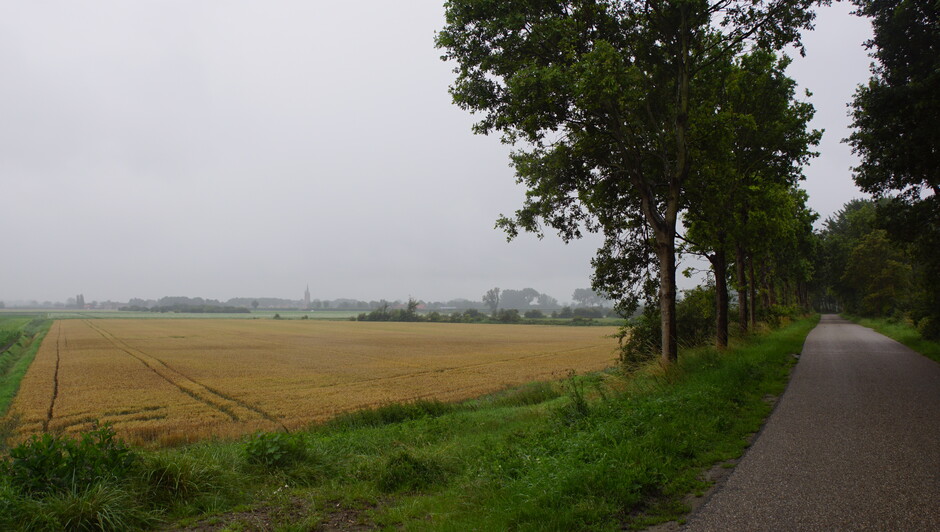 grijs en regenachtig weer 16 gr in de polder