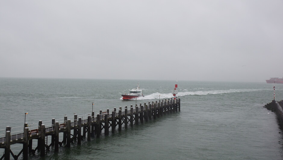 grijs en regenachtig weer 17 gr Westerschelde loodsboot