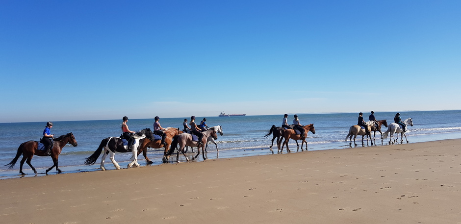 Ruiter groep op leeg strand Nieuwvliet-Bad.