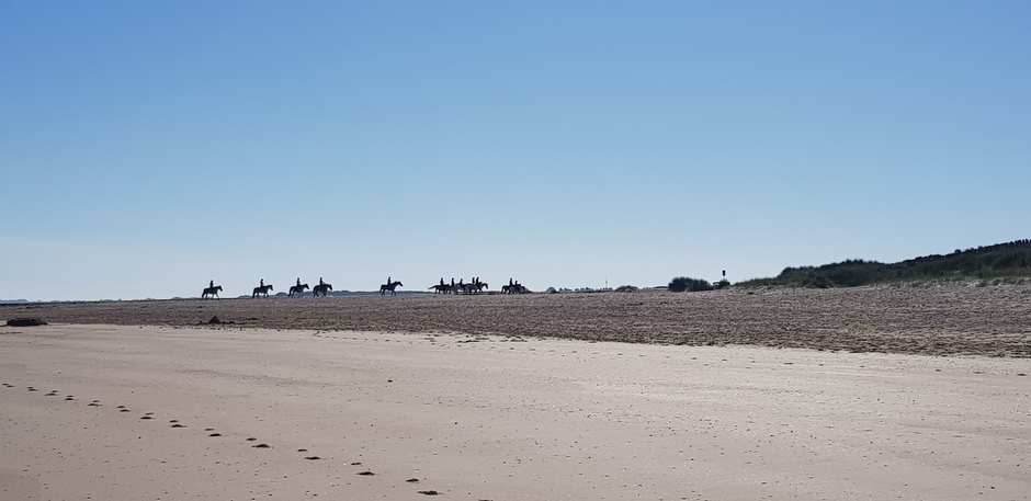 Ruiter groep op leeg strand Nieuwvliet-Bad.