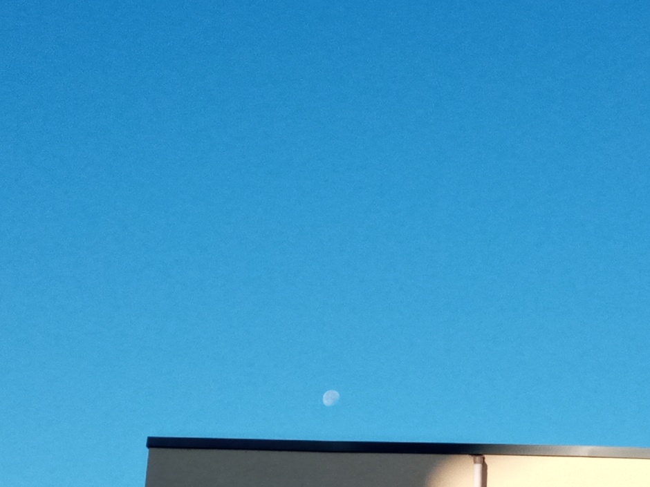 De maan.