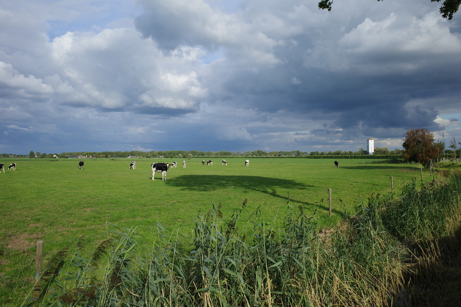 Hollands landschap en mooie luchten bij Werkhoven