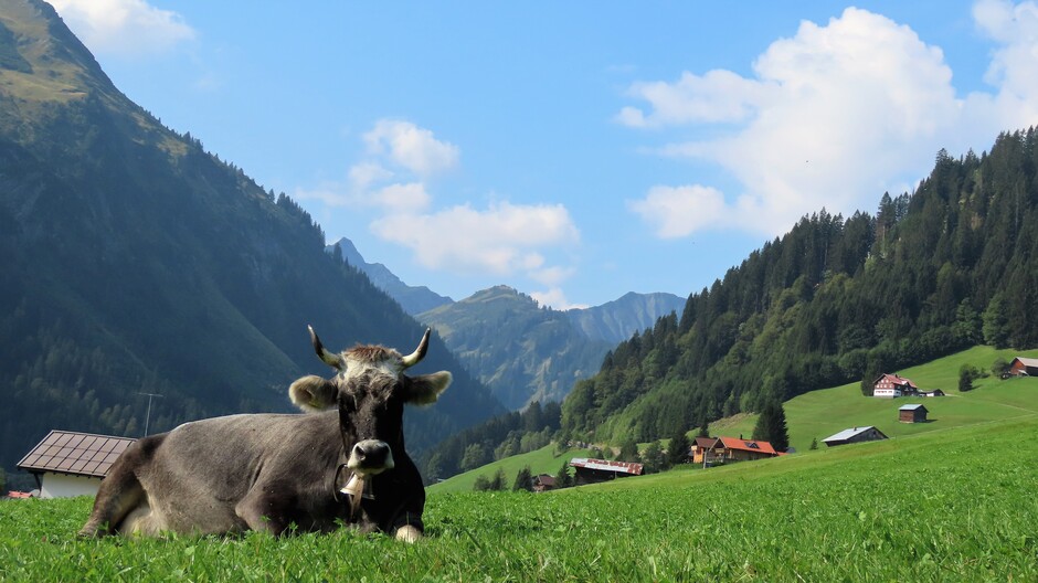 Alpen: opnieuw meer hogedruk