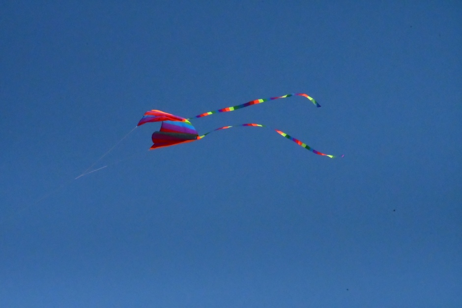 Wind en strak blauw   Prima vliegerweer op de 2e Maasvlakte 